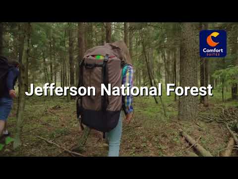 Hotels in Wytheville VA