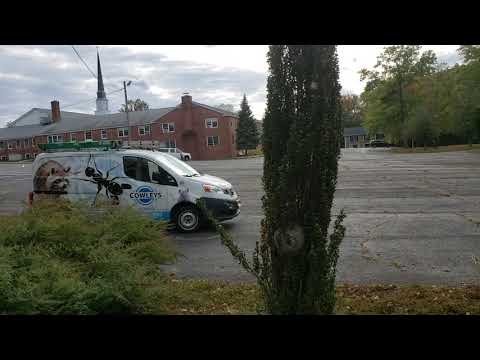 Pest Control in Matawan, NJ