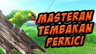 Download lagu masteran tembakan tajam burung nuri perkici gacor / video background sawah mp3 Download lagu masteran tembakan tajam burung nuri perkici gacor / video background sawah mp3
