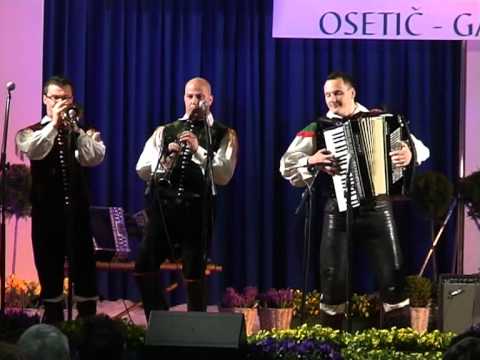 Ansambel bratov Gašperič- (v živo)