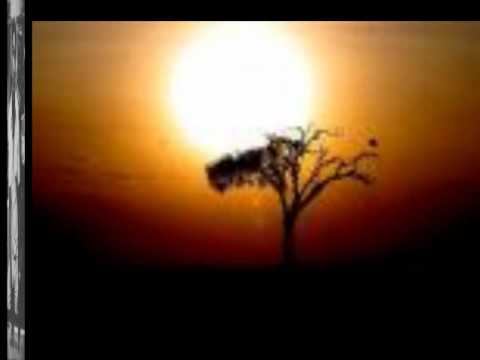 Dub Specialist - Peace Theme