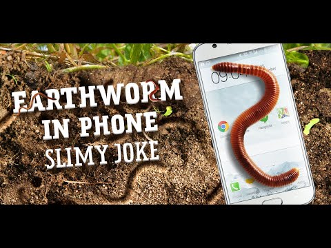 Earthworm in phone slimy joke Video