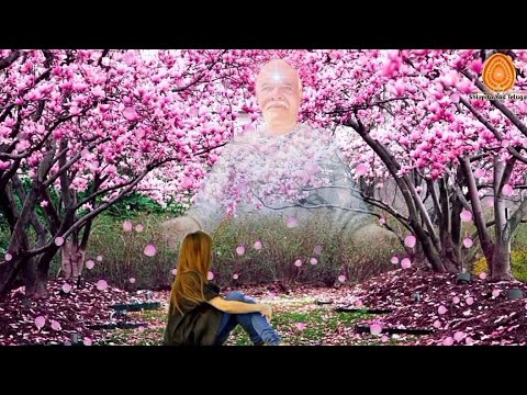 Cheppa Ledhani - Song Telugu👌| Brahma kumaris