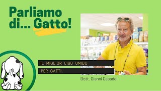 Parliamo di... Gatto! Qual è il Miglior Cibo Umido per Gatti?