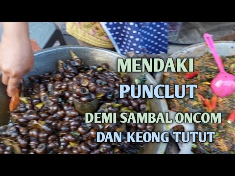 ANOTHER SIDE OF BANDUNG CITY IN PUNCLUT