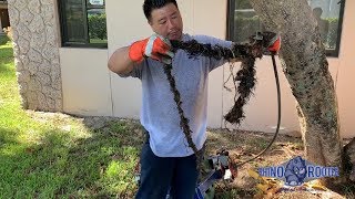 Removing Roots from Drain Line with Snake | Rhino Rooter