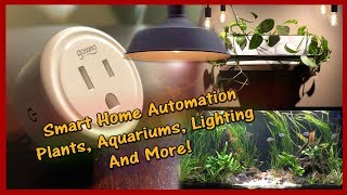 Upgrade Your Old Mechanical Lighting Timers to This! | Gosund Smart Devices