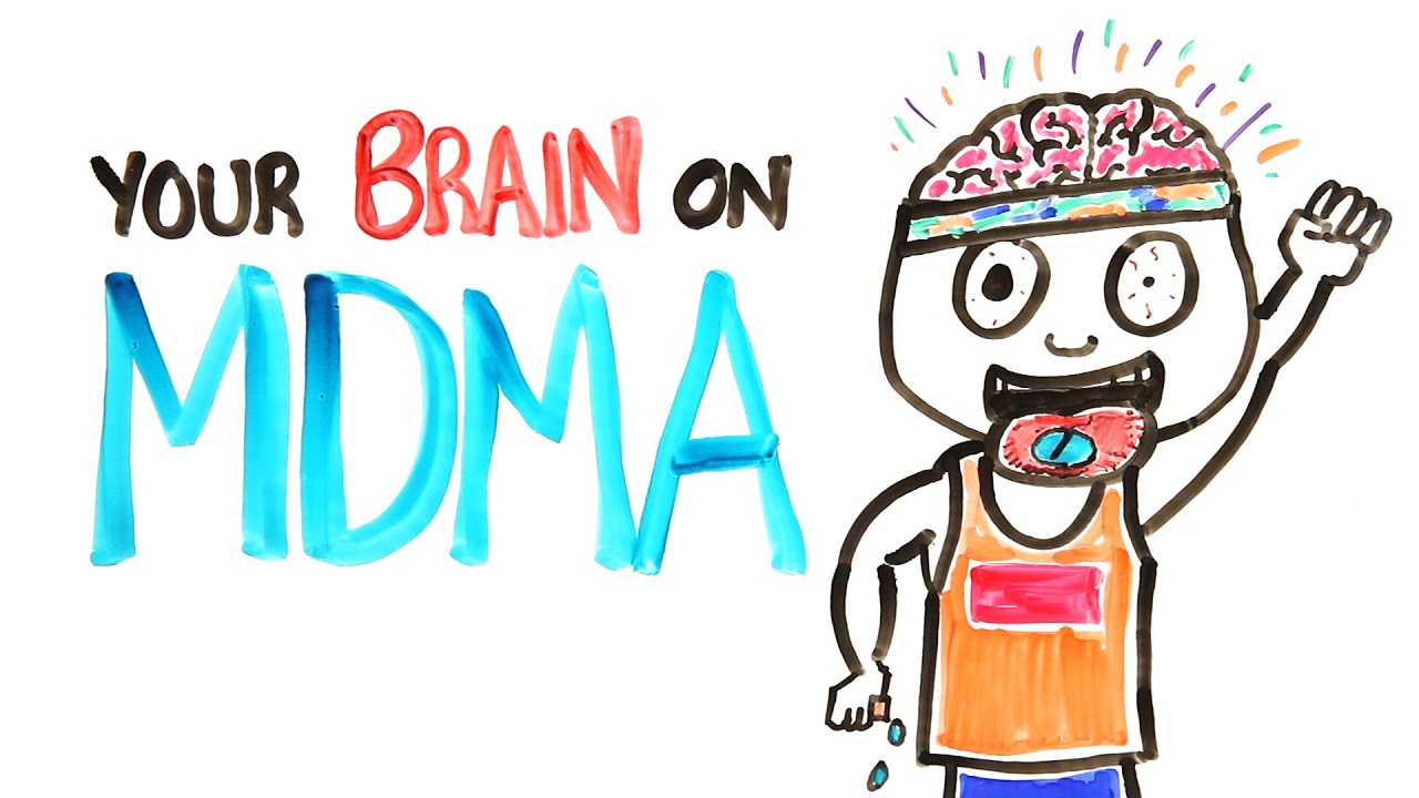 Your Brain On MDMA