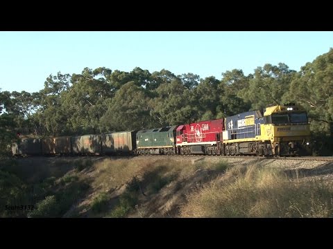 Mixture of colour on PN Freight 2AM5 at Fosters Corner