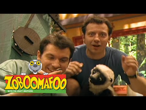 Zoboomafoo 140 - Bzzz (Full Episode)
