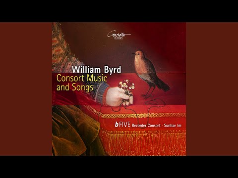 Though Amaryllis Dance in Green