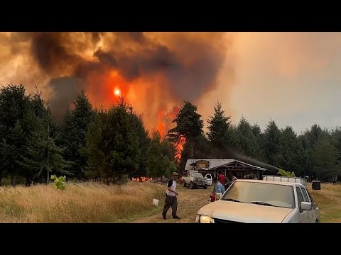 Wildfires devastate Patagonia's forests, threatening El Bolsón