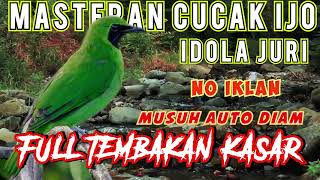Download lagu Masteran Cucak Ijo JUARA 🏆 Full Tembakan Kasar - tengkek buto - kapas tembak mp3