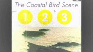 Super Numeri - Coastal Bird Scene (Part 1)