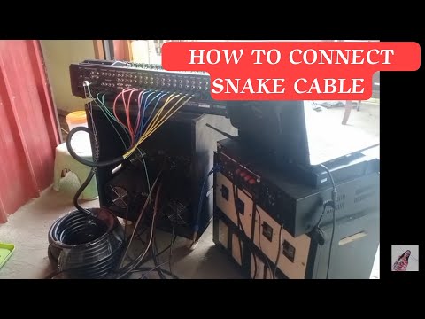 HOW TO CONNECT SNAKE CABLE TO AMPLIFIER AND HOW TO UNPLUG | EllenPh Music #snakecable #amplifier