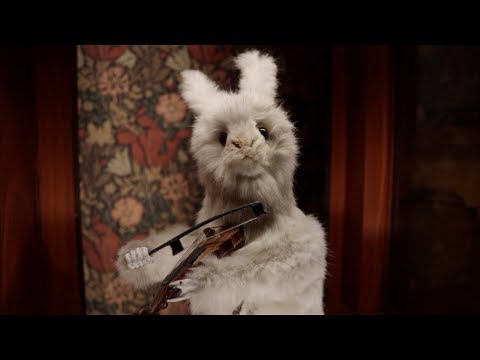 Does German help to learn Dutch? - Day 5 - Dutch in 20 days challenge