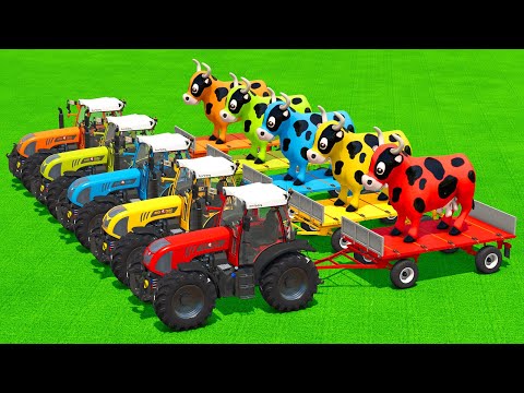 LOAD GIANT COWS & TRANSPORT WITH RIGI TRAC TRACTORS & FORKLIFTS - Farming Simulator 25