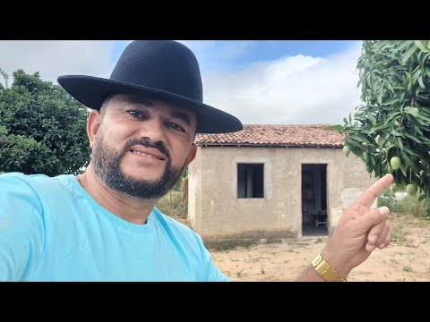 Vendo  barato essa maravilha de sítio grande oportunidade chegou 8799102 3154 