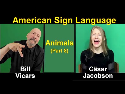 Lesson 12 Story B Cäsar Jacobson Dr Bill ASLU Lifeprint com American Sign Language ASL