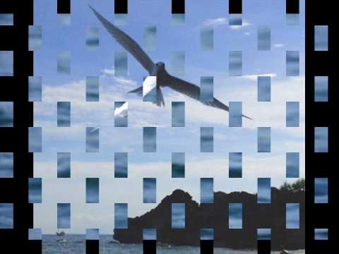 Ta - Trần Thái Hòa