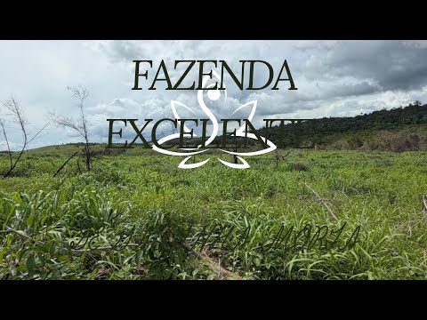 BAIXOU O PREÇO 
