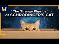 The Strange Science of Schrödinger’s Cat and Quantum Superposition