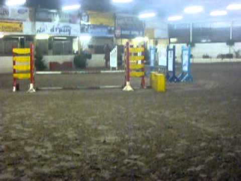 Godiva met Jan Vanhollebeke