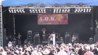 A.O.K. Live - Brombeerhagel (07) Eisenwahn Festival 2013