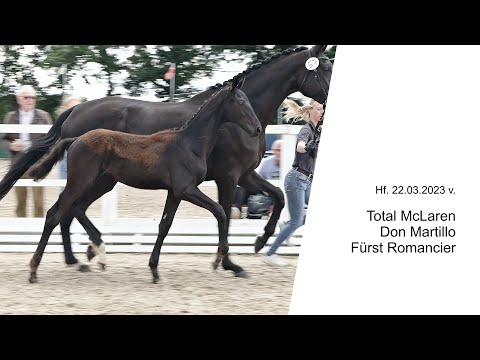 Hf v Total McLaren x Don Martillo x Fuerst Romancier 2023
