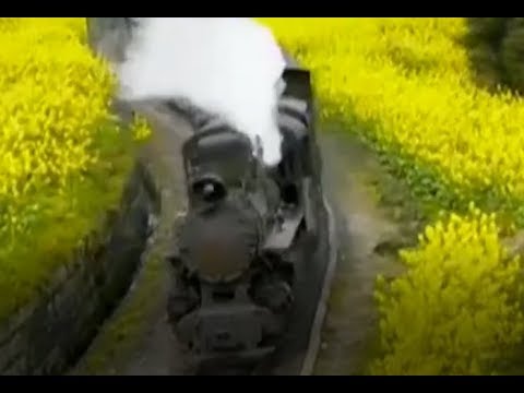 China's last small steam train | CCTV English