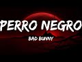 Bad Bunny - PERRO NEGRO ( Letras / Lyrics )