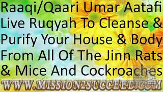 CLEANSE & PURIFY YOUR HOUSE & BODY FROM ALL TYPES OF JINN RATS & MICE & COCKROCHES RAAQI UMAR AATAFI