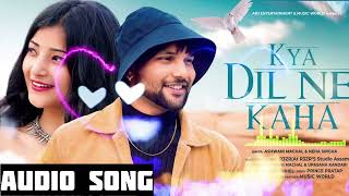 kya dil ne kaha hindi song 🎵 remix