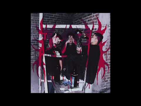 Black Versatil x Baer ACH x  Darka Almazny ( Dejando rastro) ( ACH ) 