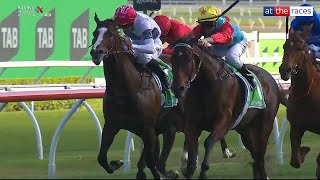 Download lagu KA YING RISING conquers The Everest! ⛰️💰 The world's best sprinter wins the richest race on Turf! mp3