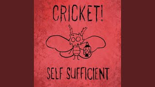 Cover art for Self Sufficient