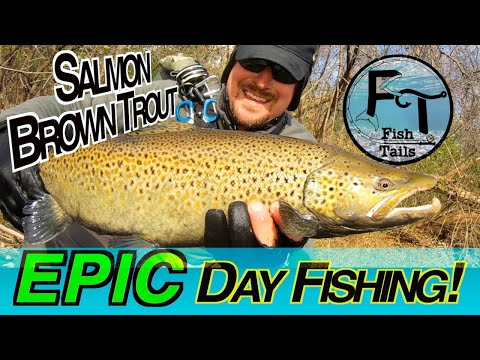My Best HOUR fishing Milwaukee River (EPIC day!!!) Salmon & Brown Trout "Fish Tails" ep-34