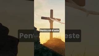 "Zidurile celui rau" - Beniamin Marțiş