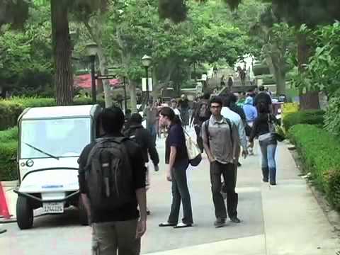 Bruinwalk