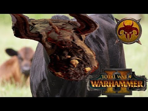 Beastmen vs Skaven | BOULDERS & RATS : Total War Warhammer 2