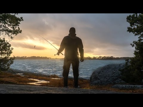 Meritaimenen kalastus, Helsinki | Todellista tyrskykalastusta!