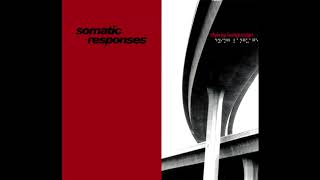 Somatic Responses - Leek Soup
