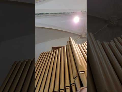 Noch Nie Cover (Practice) - Emma Anderson - with Organ Accompaniment