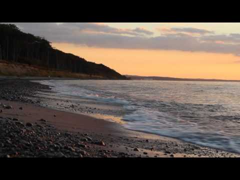 Der Gespensterwald Nienhagen