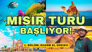EGYPT TOUR STARTS! ⎮ Sharm El Sheikh, Red Sea and Coral Reefs ⎮ Part 1 #egypt #egypt