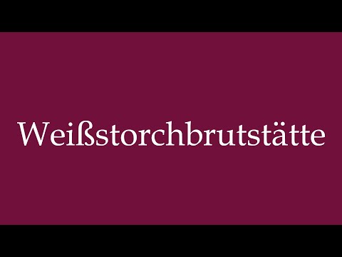 How to Pronounce ''Weißstorchbrutstätte'' (White stork breeding site) Correctly in German