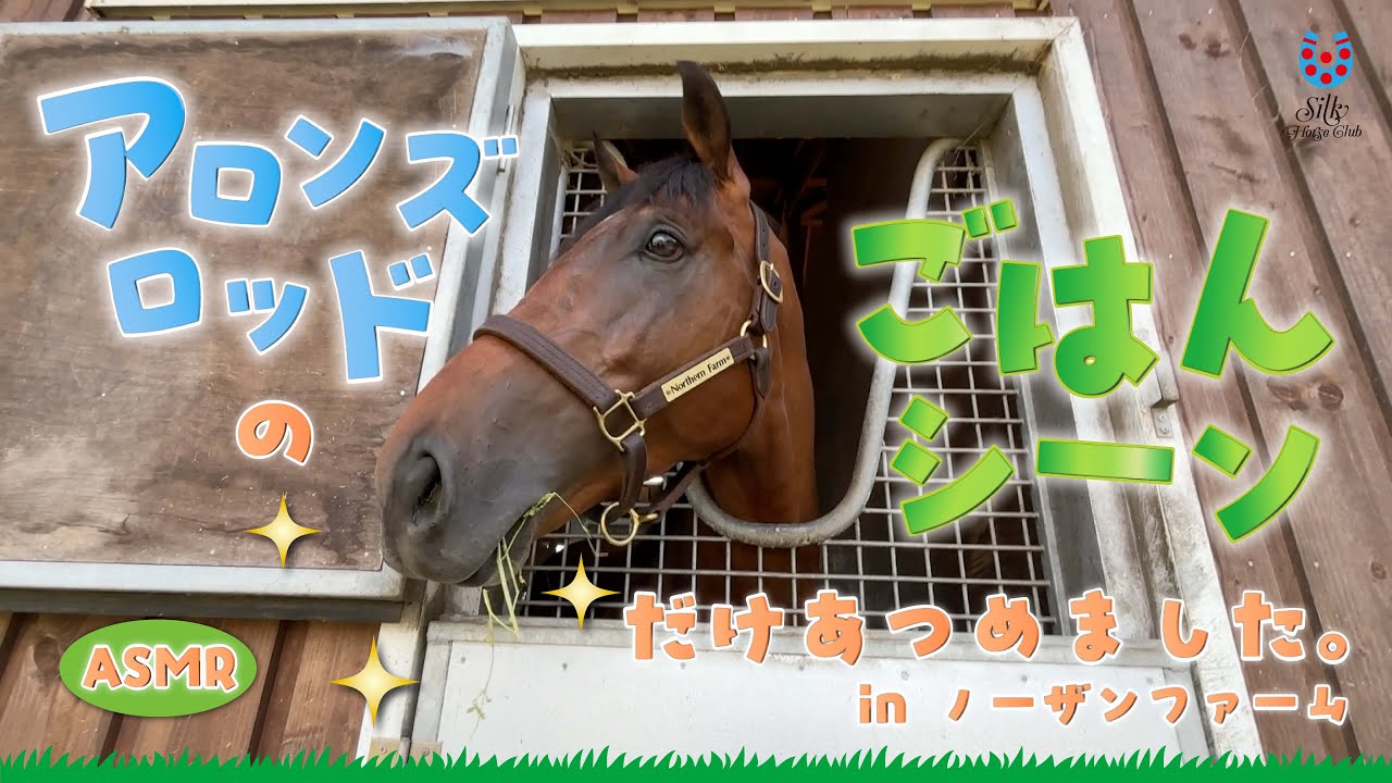 【黙草ASMR】アロンズロッドのごはんシーンに密着！in ノーザンファーム