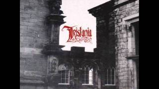 Download lagu Gothic Metal Vol.19 Track 4 mp3