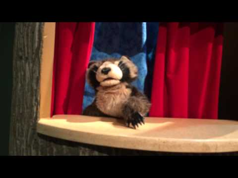 The Special Days for Griffin, Zoë & DJ