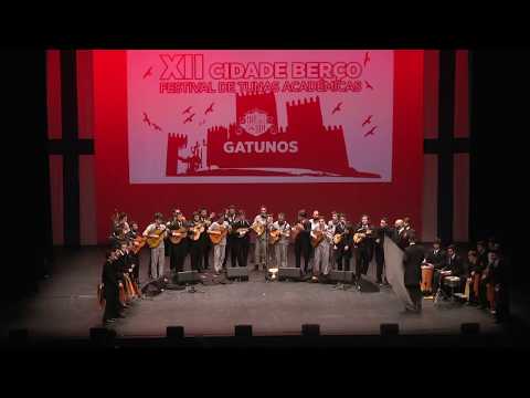 XII Cidade Berço | Gatunos